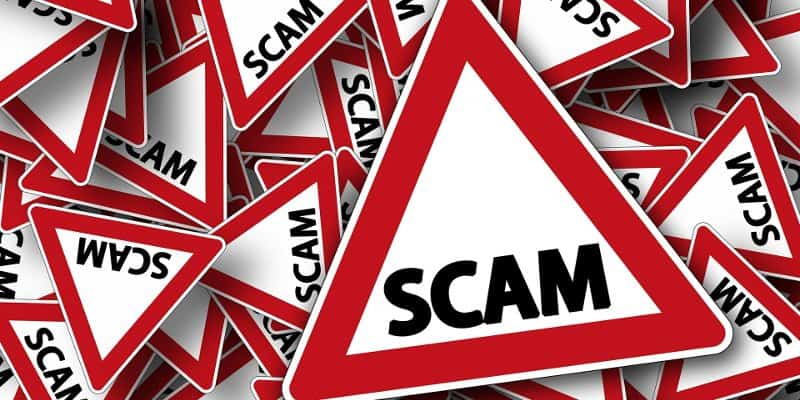domain name scam